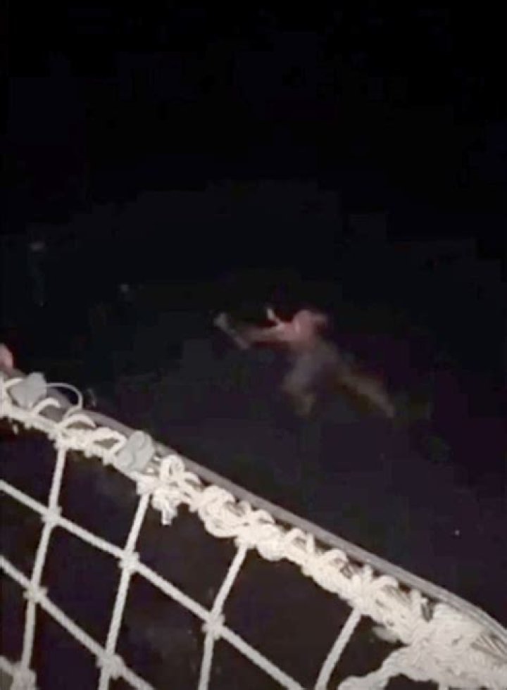 Cameron Robbins Death Hoax: Is American Tennage Missing During Bahamas Cruise Dead Or Alive?