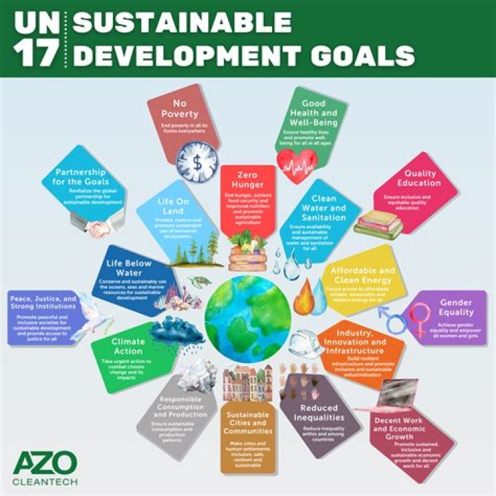 
Scaling up global efforts to invest in Sustainable Development Goals 