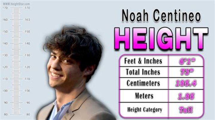 
Taylor Centineo Height, Weight, Net Worth, Age, Birthday, Wikipedia, Who, Nationality, Biography 