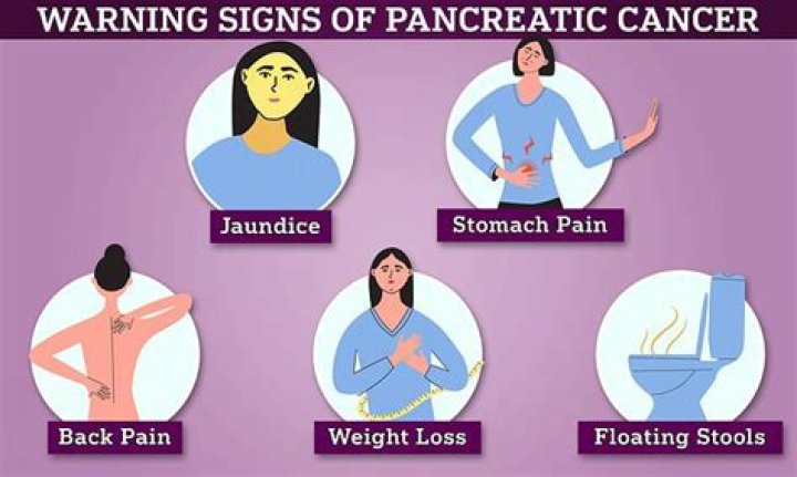 
What happened to Maria Menounos? Pancreatic cancer early symptoms explored in wake of health revelation 