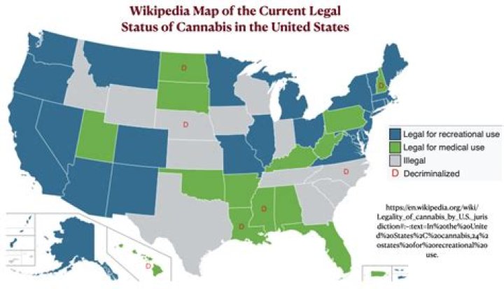 
What is ballot harvesting and in which US states is it legal? 