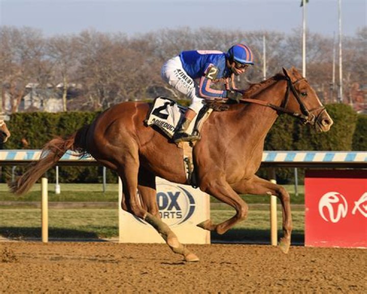 
What Was Chad Brown Trainer Arrested For? Horse Trainer To Face The Judge Over Obstruction Of Breathing 