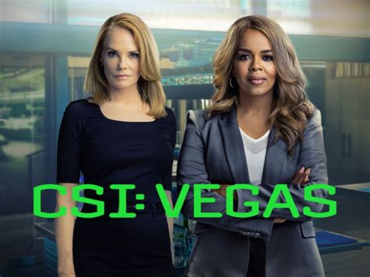 Who Is Siranoosh Sayad From CSI Las Vegas? 5 Facts On The Actress